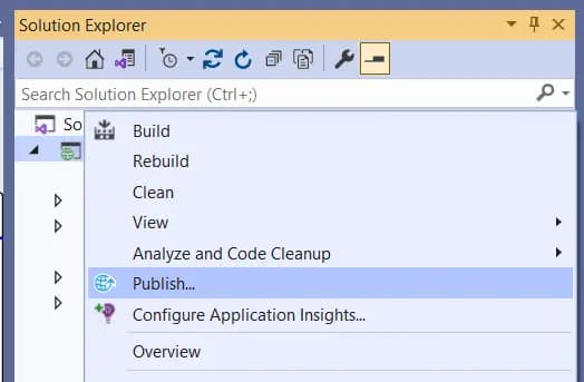 Visual Studio 中显示 Publish 选项的图片